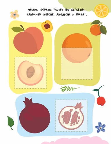 Фрукты и овощи