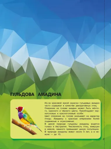 Птицы
