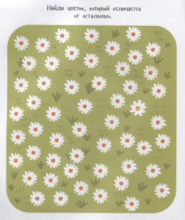 45 заданий и игр для самых любопытных