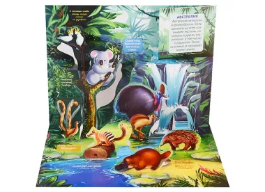 Живая планета. Джунгли (книжка-панорамка)