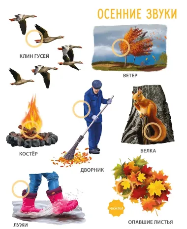 50 звуков. Мир вокруг меня