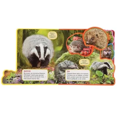 Лесные животные. Книжка с мягкими пазлами и заданиями