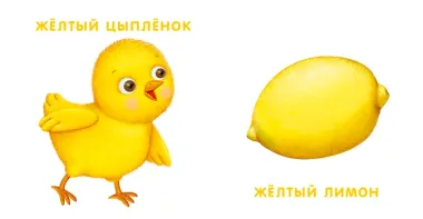Книжки - картонки. Мои первые цвета