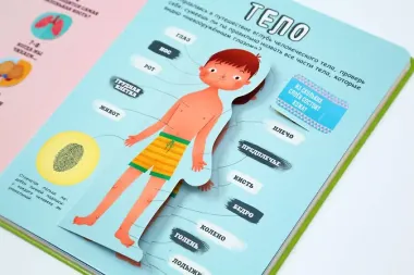 Тело человека