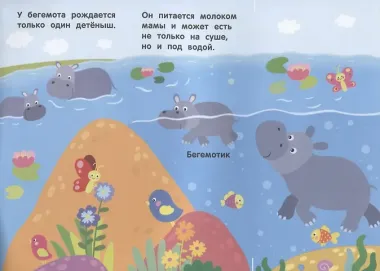 Кто живет в жарких странах?