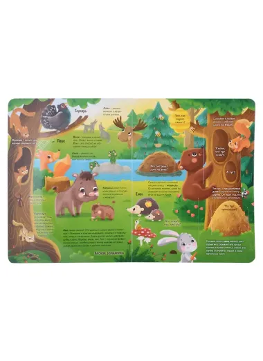 Книжка с окошками 235х315. Животные
