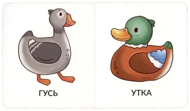 Книга Мои первые слова. Домашние животные. 1-2 года