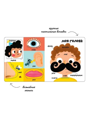 Мои первые 100 слов с большими окошками. Мое тело