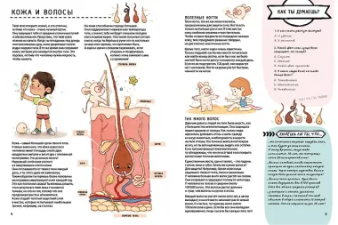 Книга с секретами. Секреты тела человека