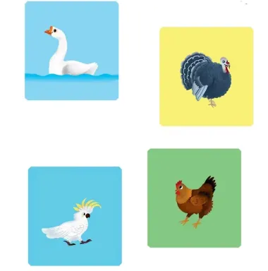 Любимые животные. Энциклопедия с окошками