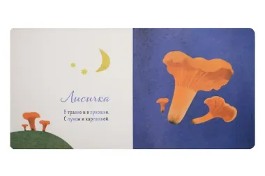 Где твое деревце?, Где твой гриб? (комплект из 2-х книг)