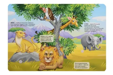 Липучки. Животный мир