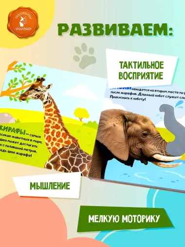 Дикие животные