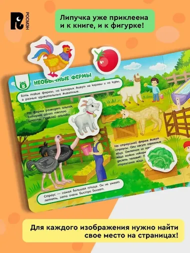На ферме. Книга с липучками