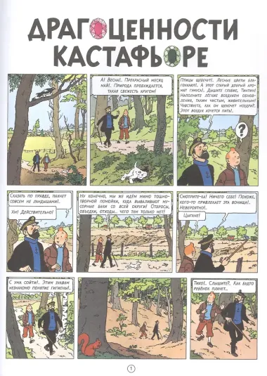 Драгоценности Кастафьоре