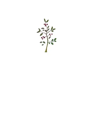 Моя первая Библия