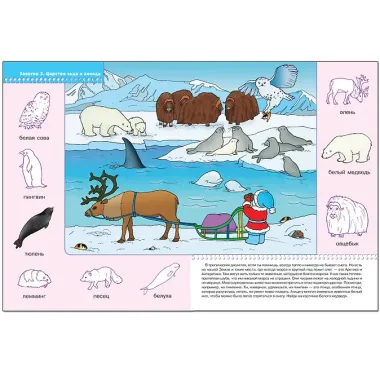 Кто где живет. Для занятий с детьми от 2 до 3 лет