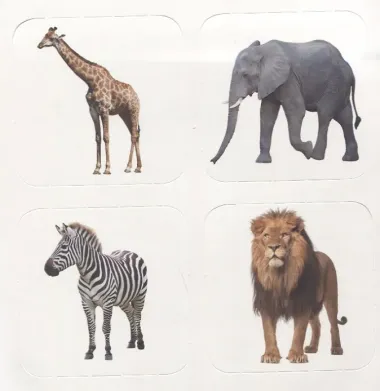 Малышарики. Курс раннего развития 1+. Животные зоопарка