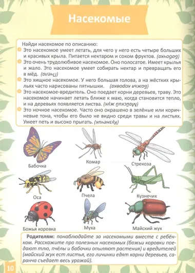 Окружающий мир (4-5 лет)