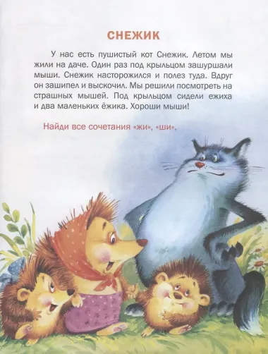 Познавайка