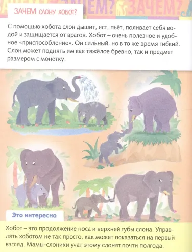 От чего и почему? Зачем это нужно?