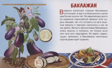 Овощи. Обучающие карточки