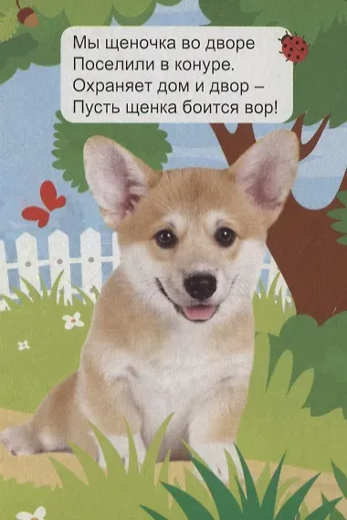 ЦК МИНИ. ДОМАШНИЕ ЖИВОТНЫЕ