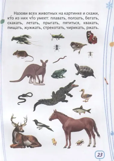 Логика. Окружающий мир. Детям от 6 лет