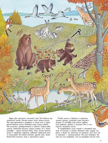 В лесу: энциклопедия в картинках