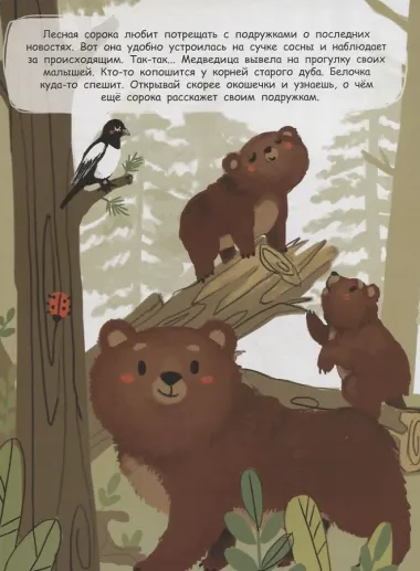 В лесу. Книжка с окошками