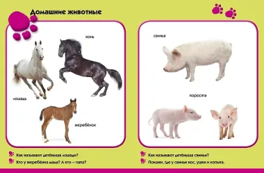 Лето в деревне. Развиваем малыша (1-2 года)