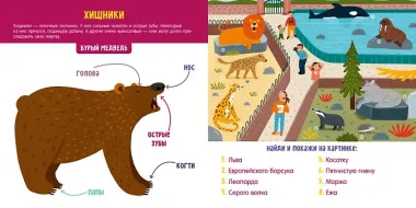 Животные. Визуальный словарь