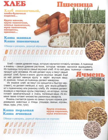 Что у нас на столе? Для детей 4-6 лет