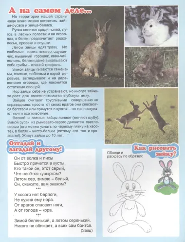 Кто живет в лесу? Для детей 4-6 лет