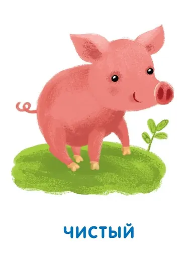 Подбери картинки. Противоположности (36 карточек)