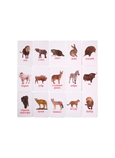 Первый словарь в картинках 