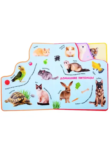 Что у Панды на обед?