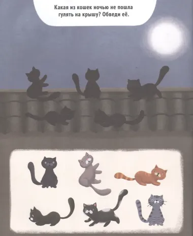 Как устроена природа