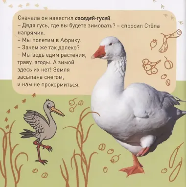 Кто как зимует?