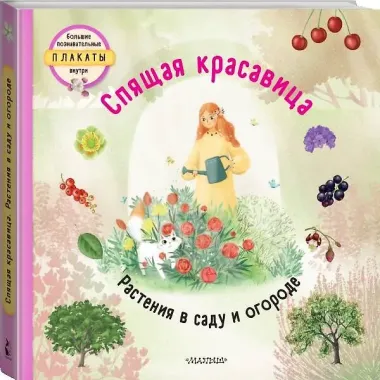 Спящая красавица