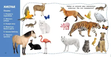 Формы и цвета. Фотокнига