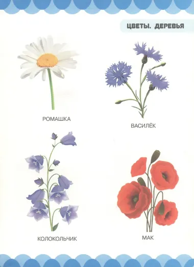 Цветы. Деревья