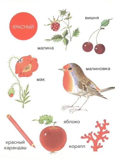 Моя первая книжка о цвете