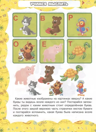 Память, внимание, логика