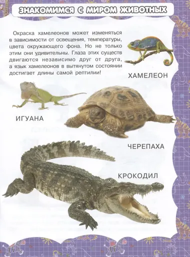 Экзотические обитатели Земли