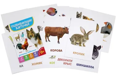 Домашние животные. Развивающие карточки
