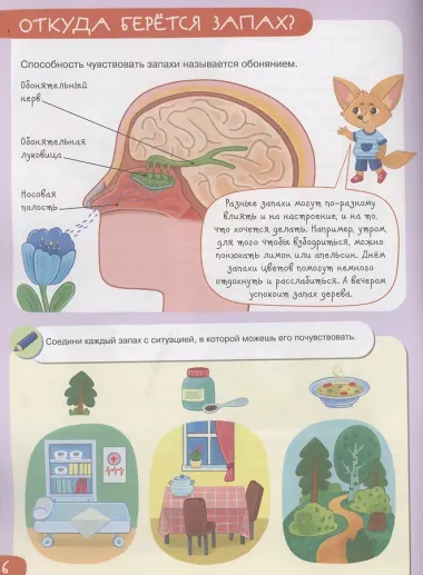 Органы чувств: пробую