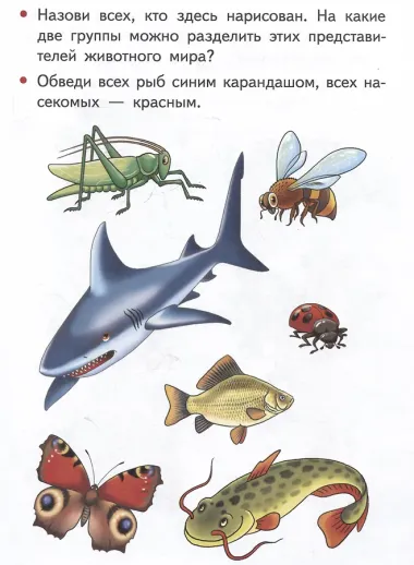 Изучаем окружающий мир (4-5 лет)