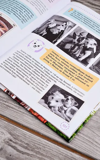 Разговоры о важном для дошкольников