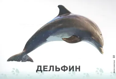 Карточки для умного развития Дикие животные (0+) (34 карточки) Бойченко (упаковка)